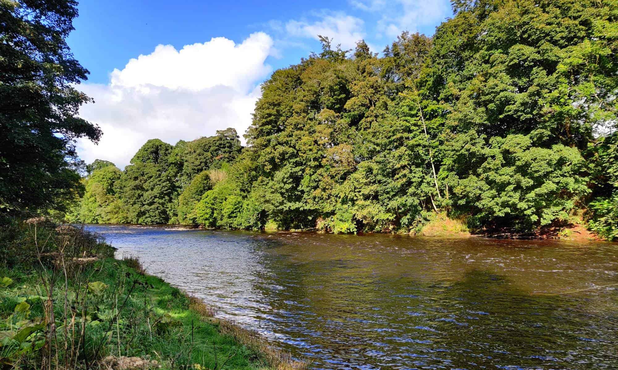 Salmon Fishing South Scotland